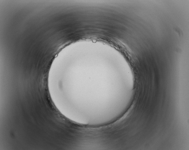 X0000116031353200912312204