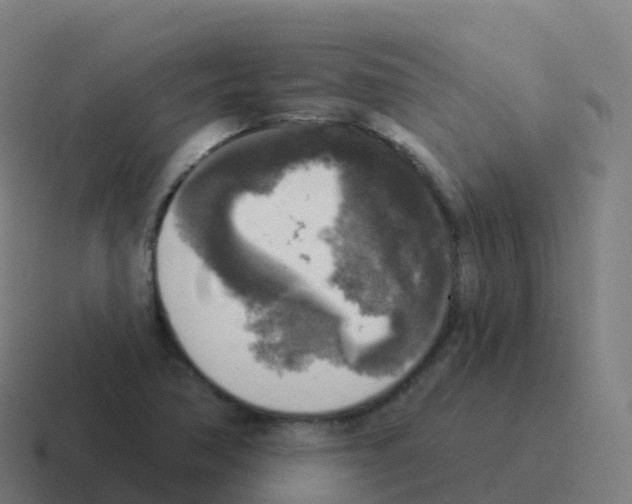 X0000116031362200912312204