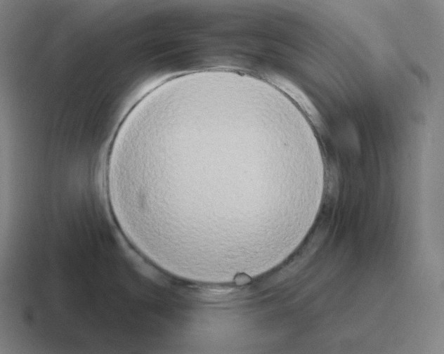X0000116031439200912312204