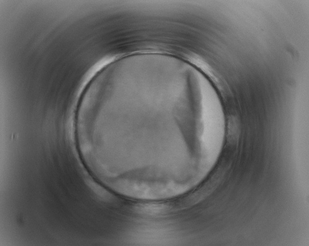 X0000116031474200912312203