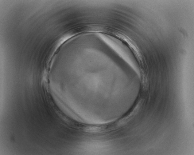 X0000116031481200912312203