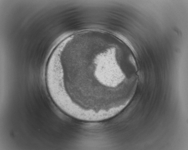 X0000116031482200912312203