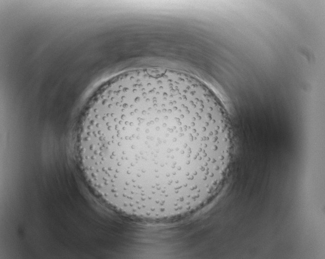 X0000116031499200912312202