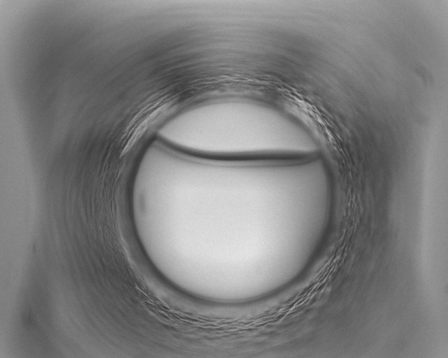 X0000116040001200911201031
