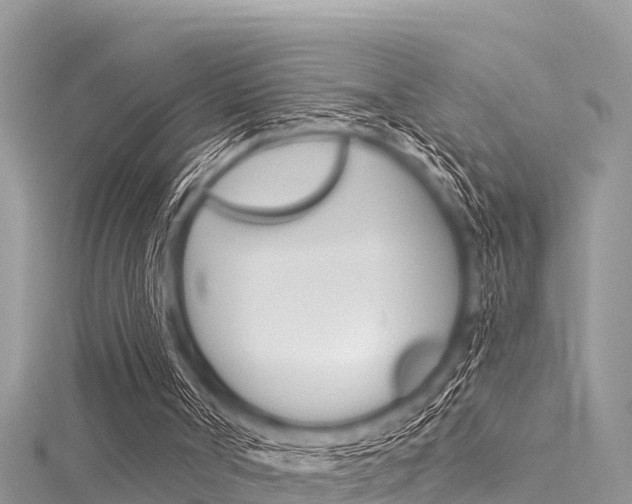 X0000116040002200911201031