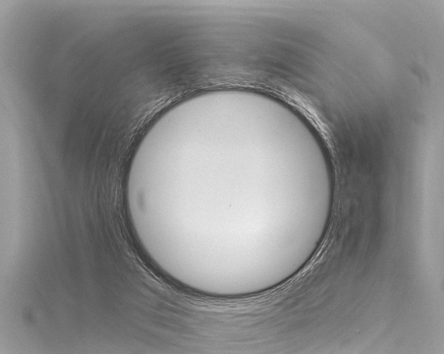 X0000116040017200911201031