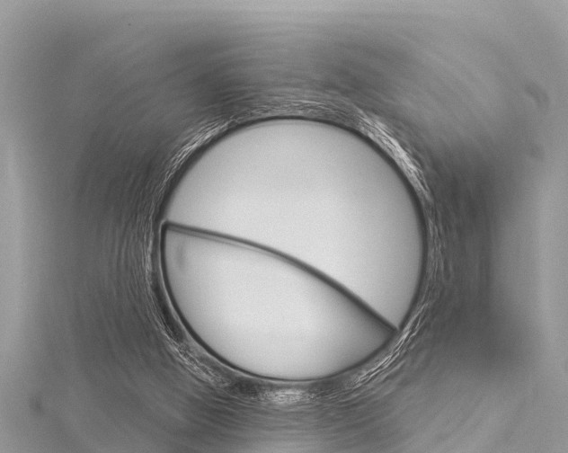 X0000116040058200911201030