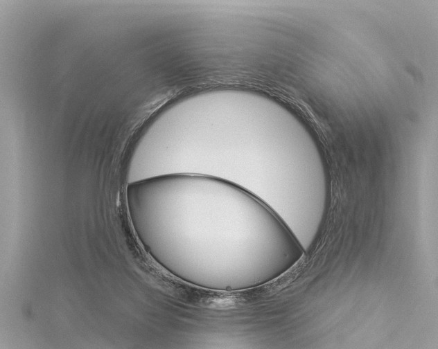 X0000116040068200911201030