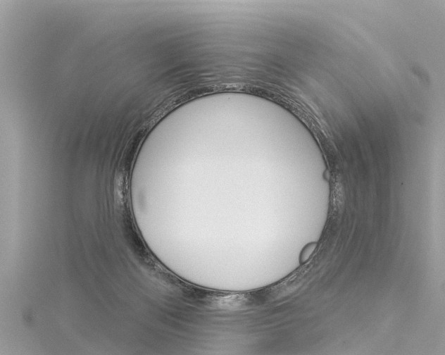 X0000116040122200911201030