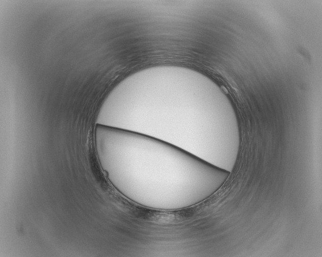 X0000116040123200911201030