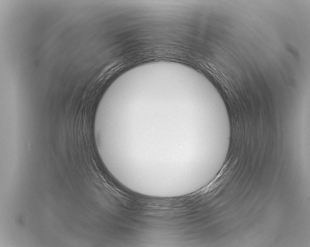 X0000116040140200911201029