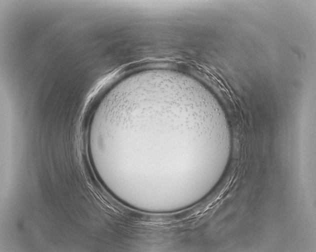 X0000116040149200911201029