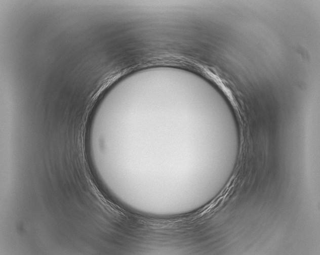 X0000116040154200911201029