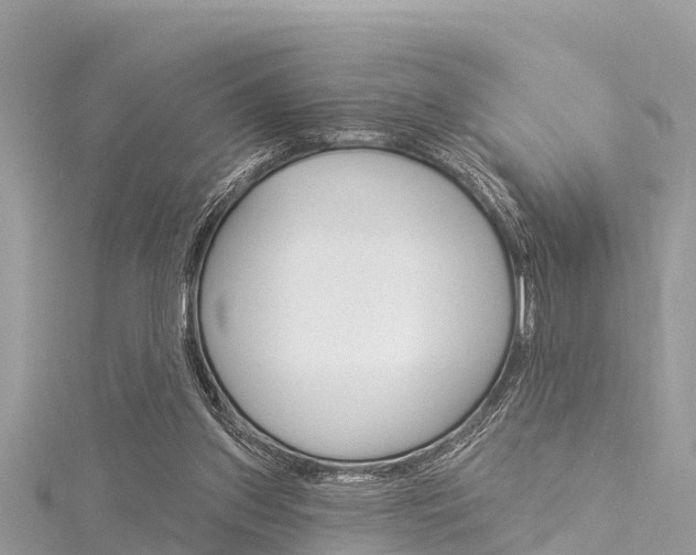 X0000116040157200911201029