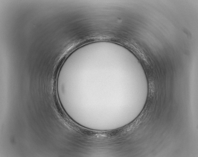 X0000116040159200911201029