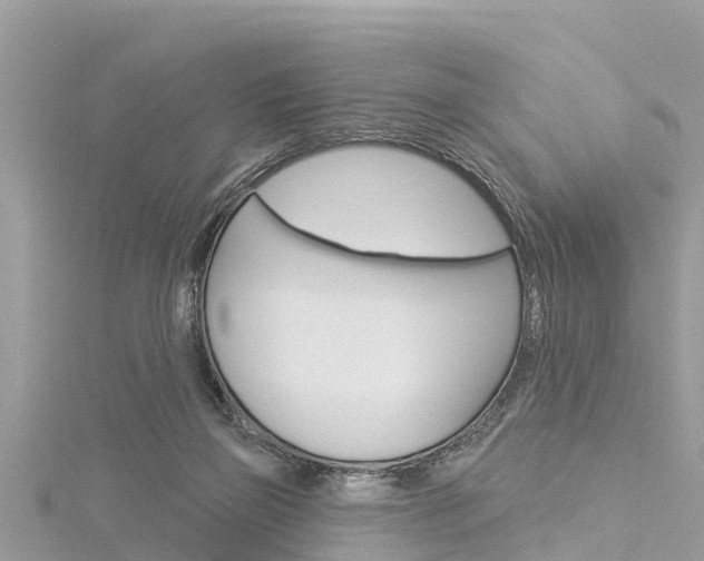 X0000116040165200911201029