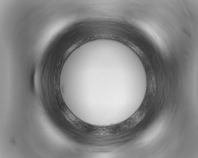 X0000116040189200911201029
