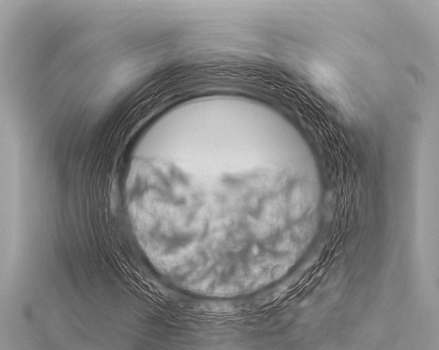 X0000116040194200911201029