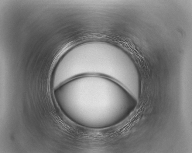 X0000116040195200911201029