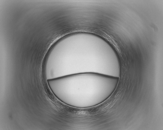 X0000116040204200911201028
