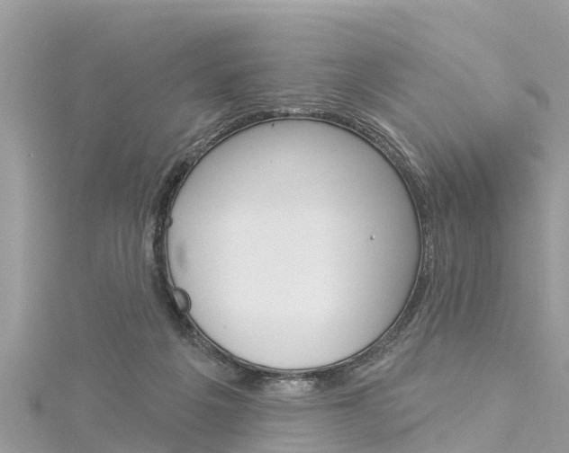 X0000116040217200911201028