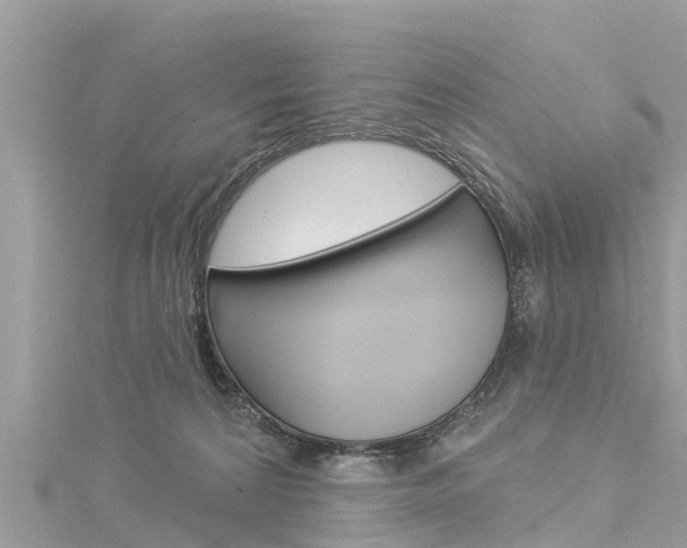 X0000116040224200911201028