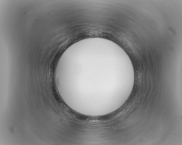 X0000116040228200911201028