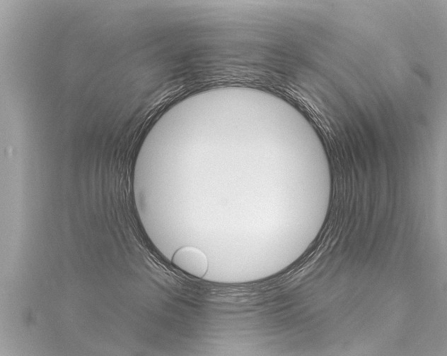 X0000116040237200911201028