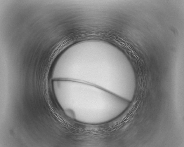 X0000116040242200911201027