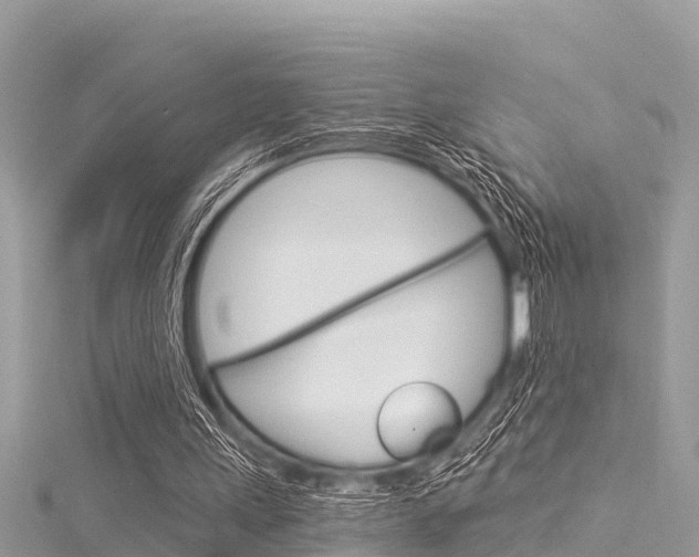 X0000116040243200911201027