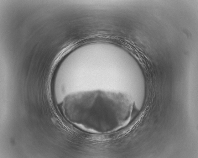 X0000116040245200911201027