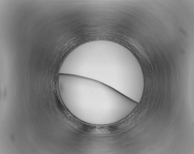 X0000116040270200911201028