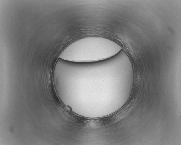 X0000116040273200911201028