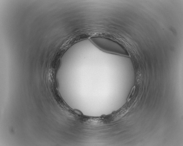 X0000116040280200911201028
