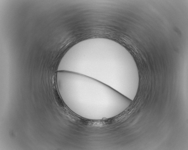 X0000116040282200911201028
