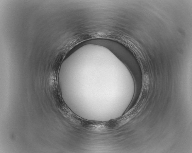 X0000116040284200911201028