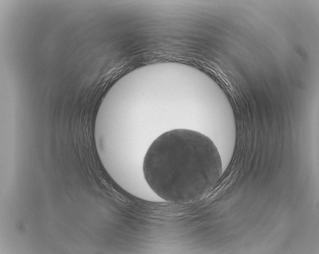 X0000116040285200911201028