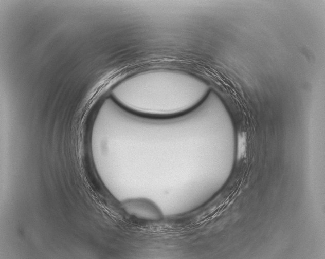 X0000116040291200911201027