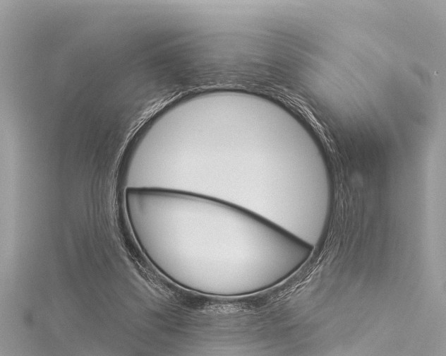 X0000116040299200911201027