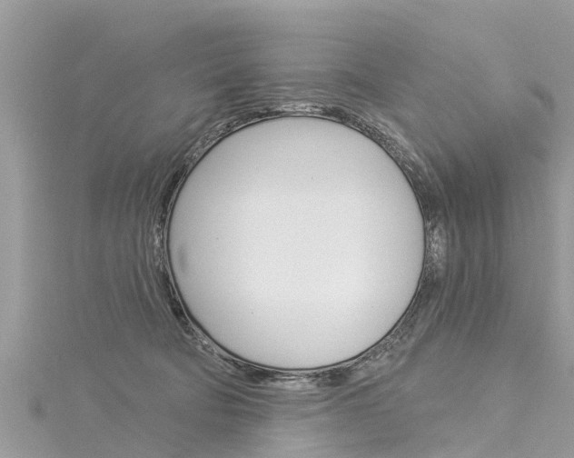 X0000116040322200911201027