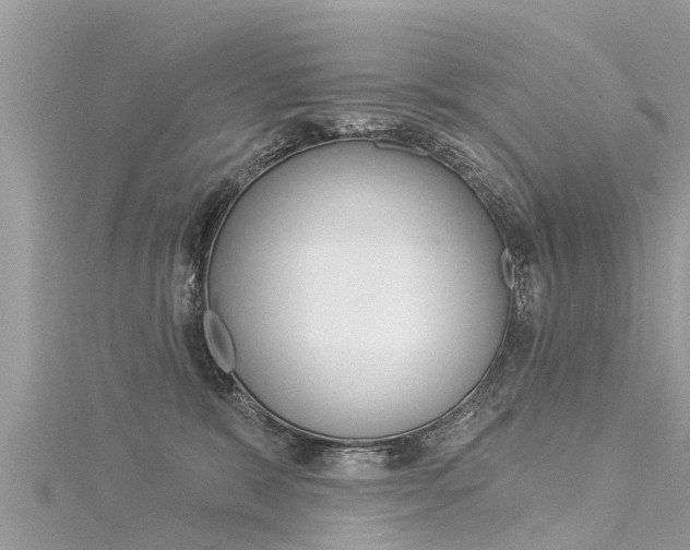 X0000116040327200911201027