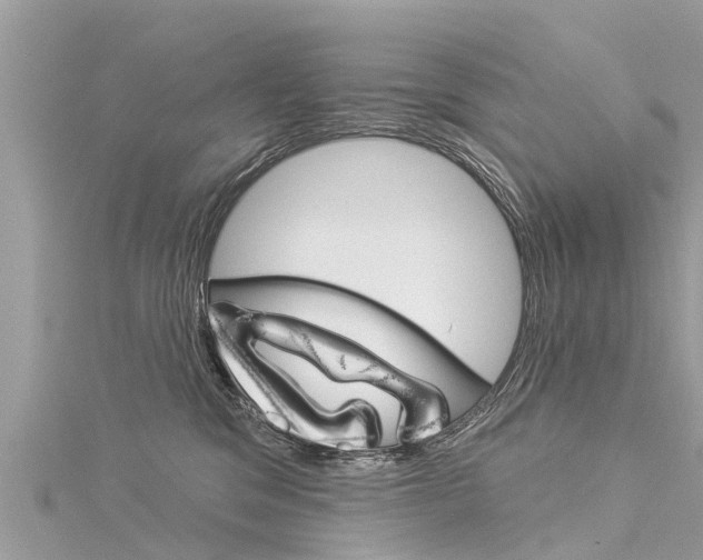 X0000116040329200911201027