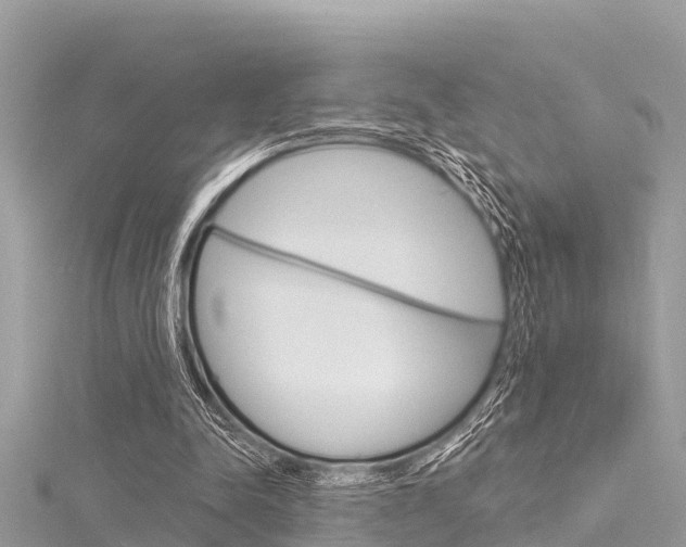 X0000116040342200911201026