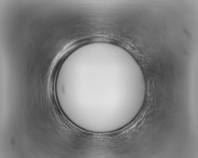 X0000116040343200911201026