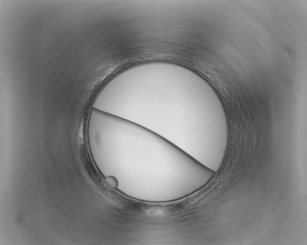 X0000116040358200911201026