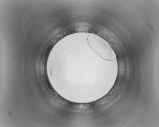 X0000116040370200911201026