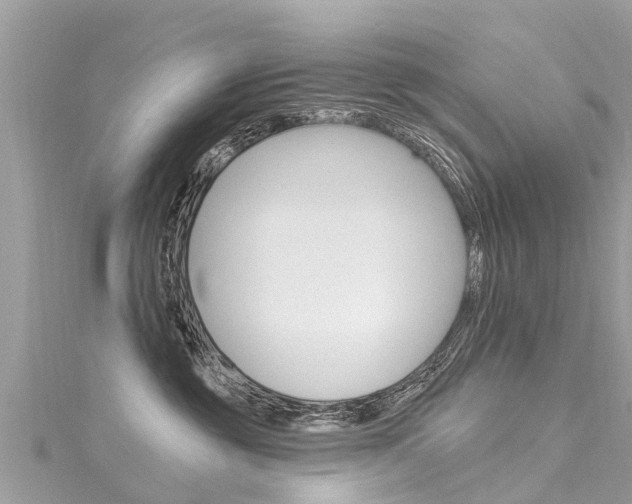 X0000116040381200911201026