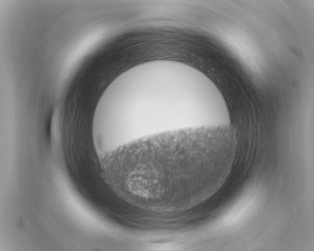 X0000116040383200911201027