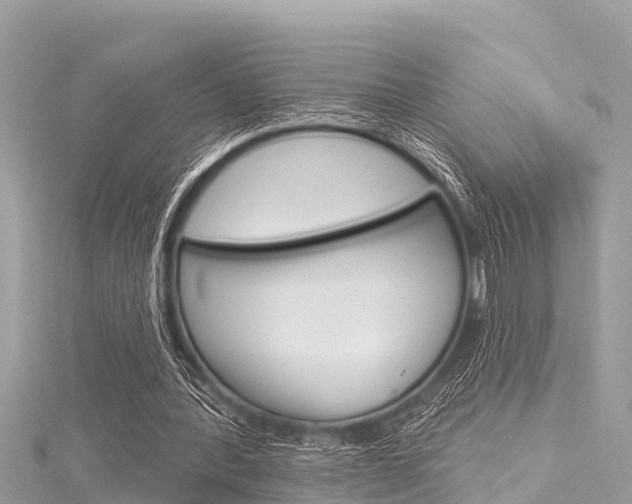 X0000116040388200911201026