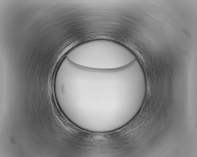 X0000116040390200911201026